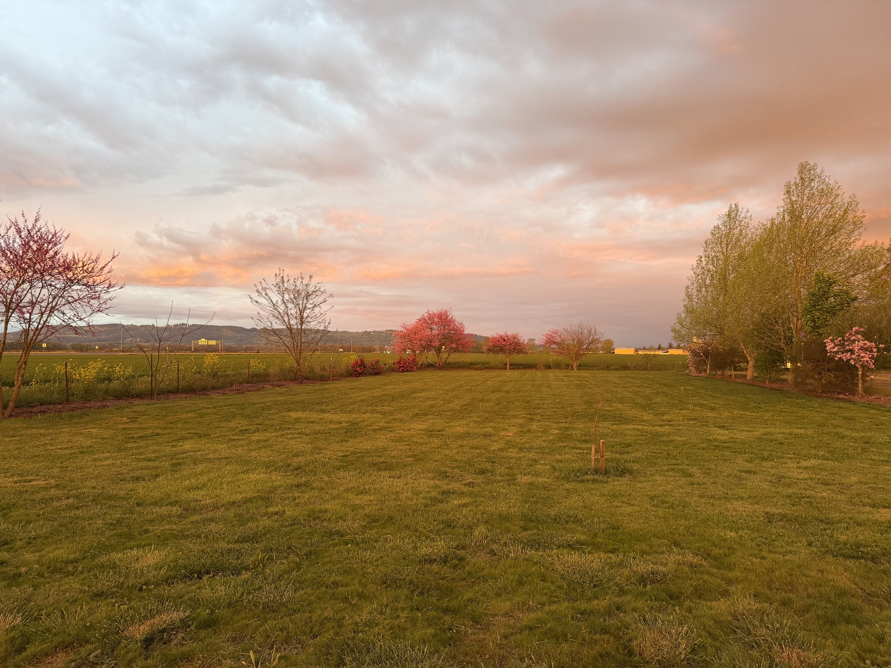 Large grass area for outdoor activities.